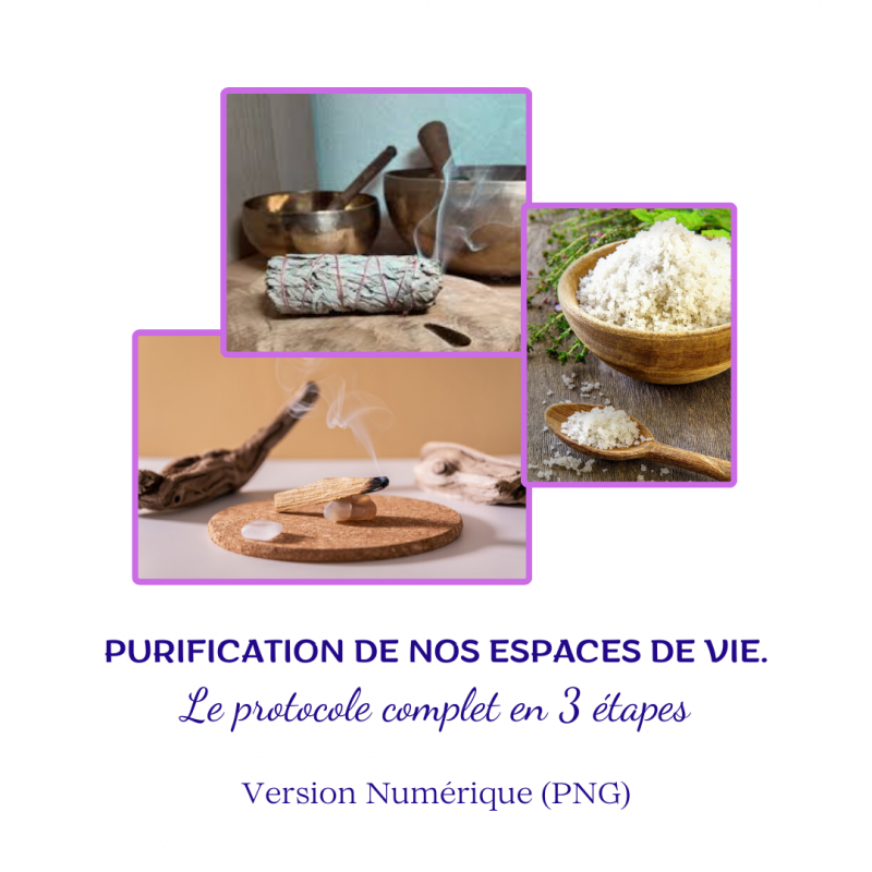 Purification protocole complet version numérique